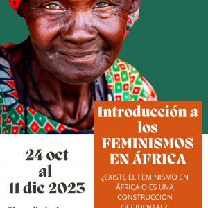 Introducción a los Feminismos Africanos 2ª edición.