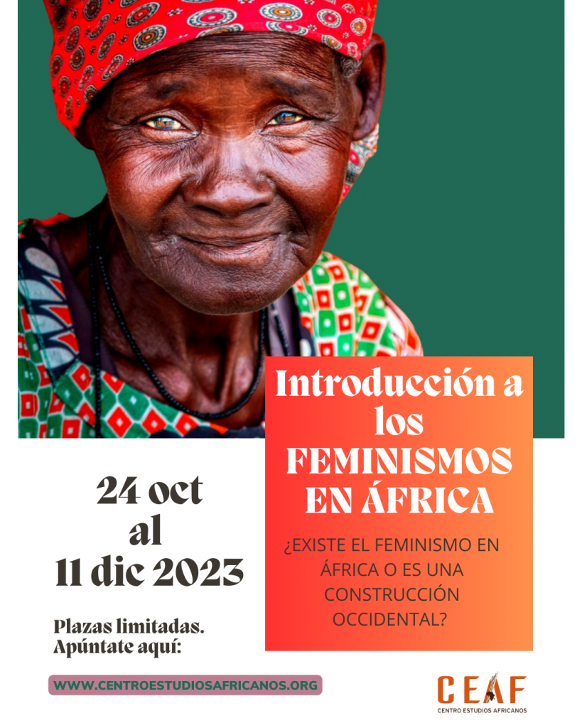 Introduccion a los FEMINISMOS EN AFRICA 819x1024 - PROGRAMA SOBRE FEMINISMOS NEGROS